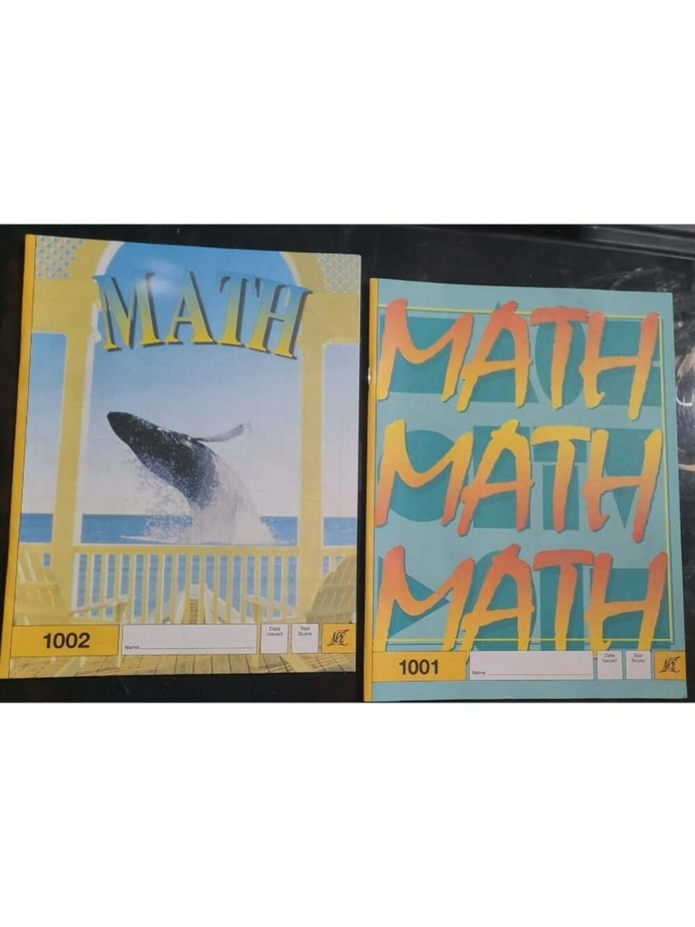 NEW ACE School of Tomorrow Math 1001 1002 1st grade workbooks with tests